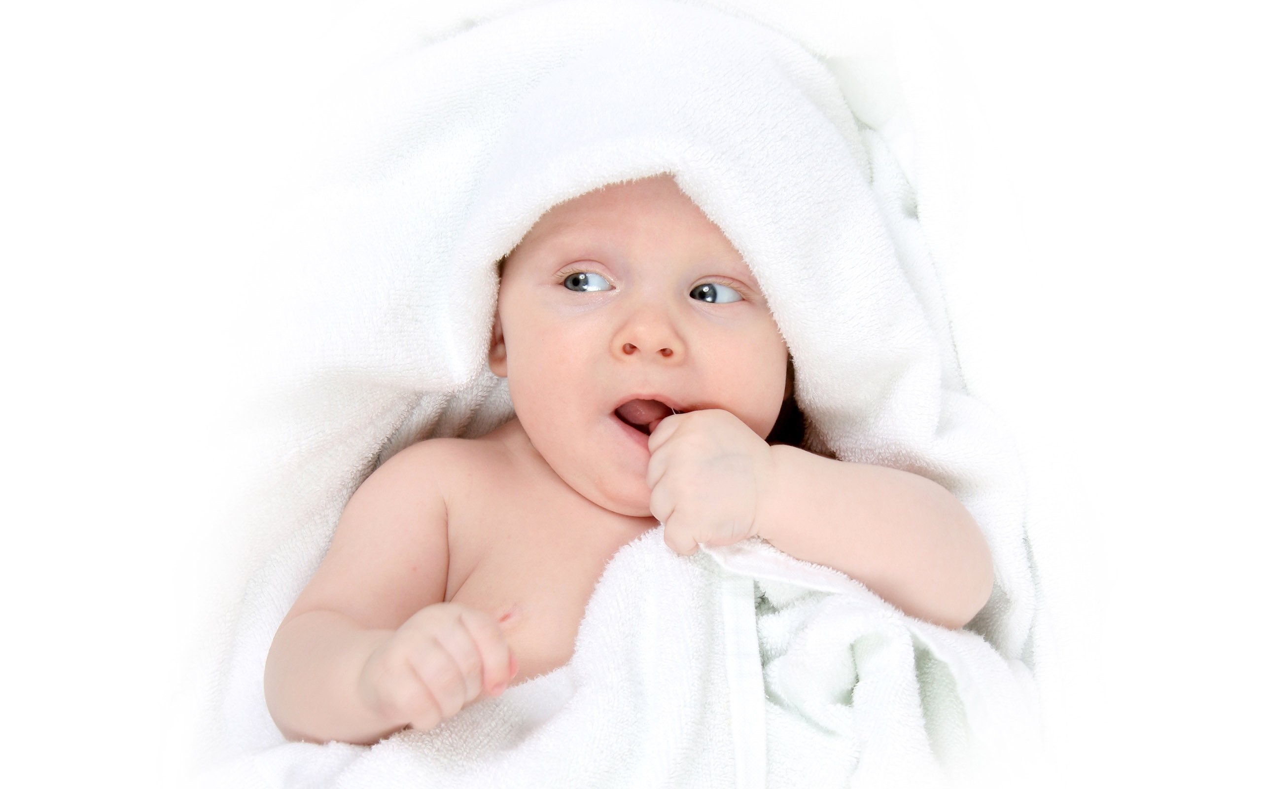 捐卵自怀试管婴儿为什么成功率低